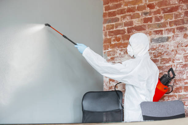 Best Asbestos and Lead Testing During Mold Inspection  in Pittston, PA